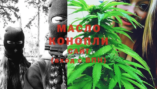 спиды Богородицк